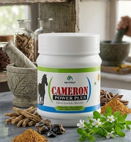 CAMERON POWER PLUS 100gm | Patent Ayurvedic Medicine