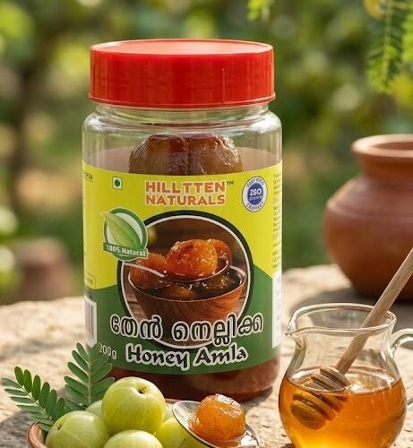 Then Nellikka | Honey Amla 200g