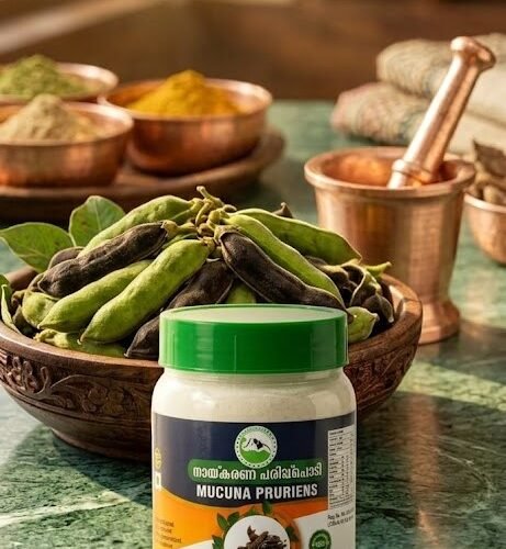 Mucuna Pruriens | Nayikkarana Paripp podi 70g