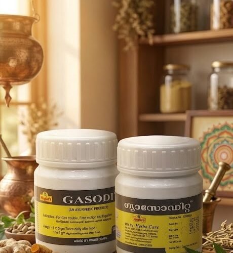 Gasodit