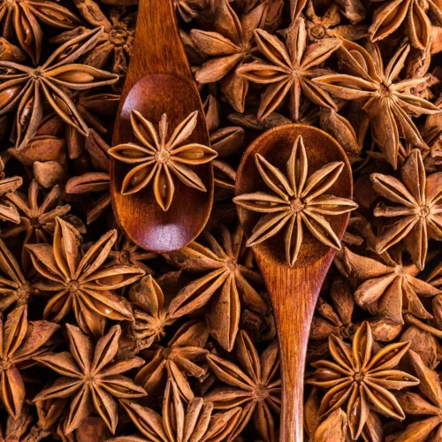 Hilltten Naturals Star Anise 100g